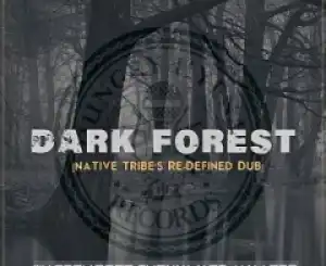 Warren Deep - Dark Forest (Native Tribe’s Re-Defined Afro Remix) ft. Thexy LX, Jay Afro